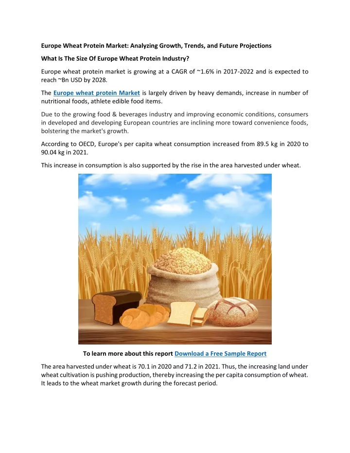 europe wheat protein market analyzing growth