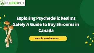 exploring psychedelic realms safely a guide