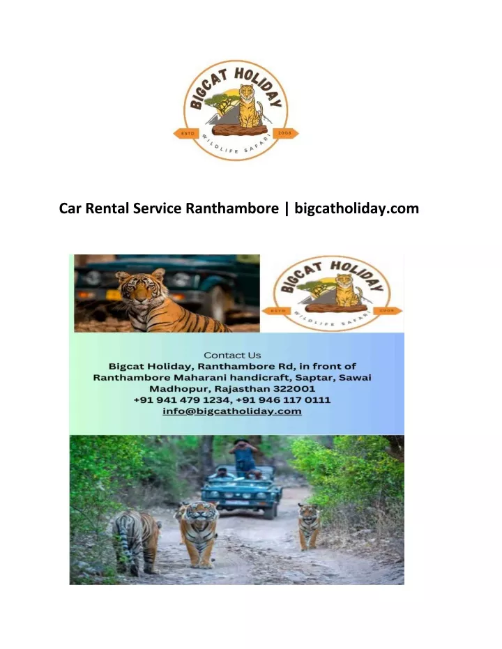 car rental service ranthambore bigcatholiday com