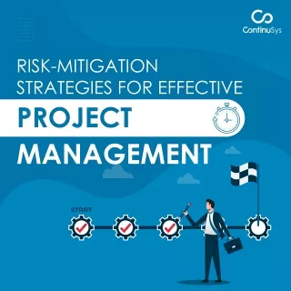 risk mitigation strategies for effective project