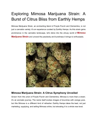 Exploring Mimosa Marijuana Strain_ A Burst of Citrus Bliss from Earthly Hemps