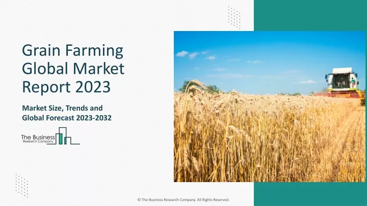 grain farming global market report 2023