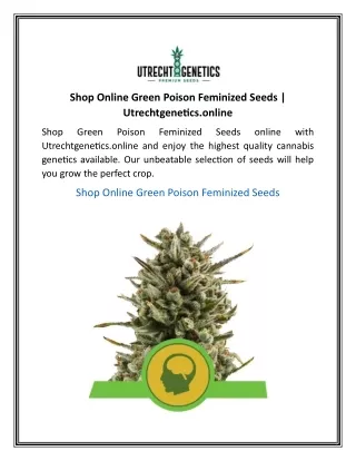 Shop Online Green Poison Feminized Seeds  Utrechtgenetics.online
