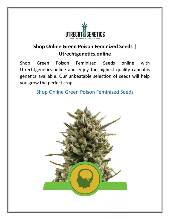 shop online green poison feminized seeds