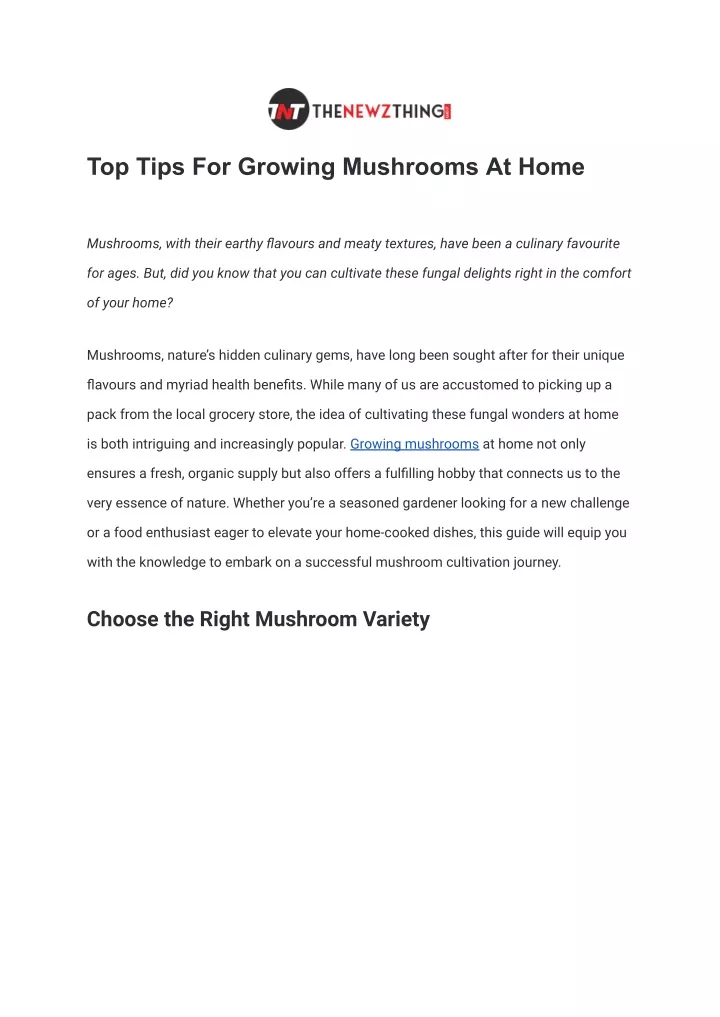 top tips for growing mushrooms at home