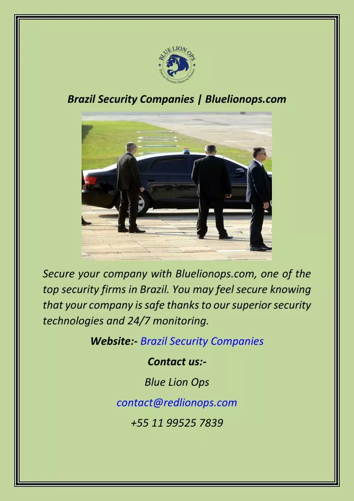 brazil security companies bluelionops com