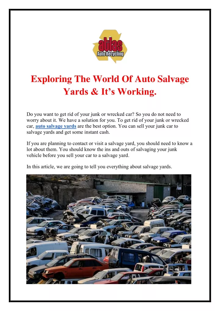 exploring the world of auto salvage yards