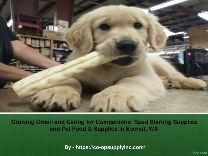 growing green and caring for companions seed starting supplies and pet food supplies in everett wa