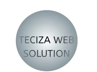 teciza web solution