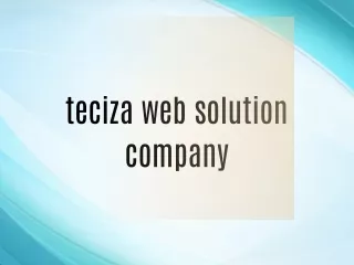 teciza web solution company