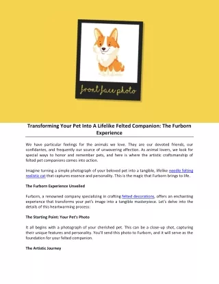 Transforming Your Pet Into A Lifelike Felted Companion The Furborn Experience