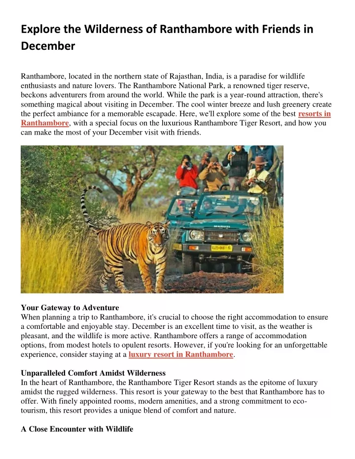 explore the wilderness of ranthambore with