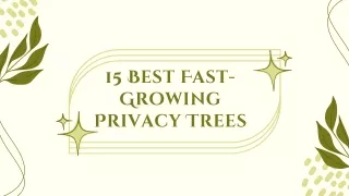 15 Best Fast-Growing Privacy Trees