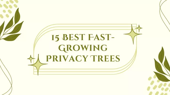 15 best fast growing privacy trees
