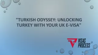 "Turkish Odyssey: Unlocking Turkey with Your UK E-Visa"