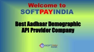 Best Aadhaar Demographic API Provider