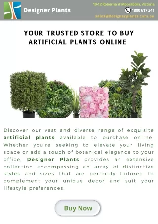 Your Trusted Store to Buy Artificial Plants Online