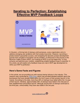 Iterating to Perfection: Establishing Effective MVP Feedback Loops