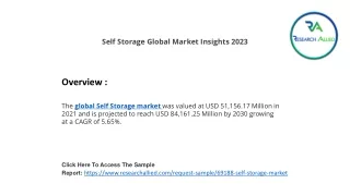 self storage global market insights 2023