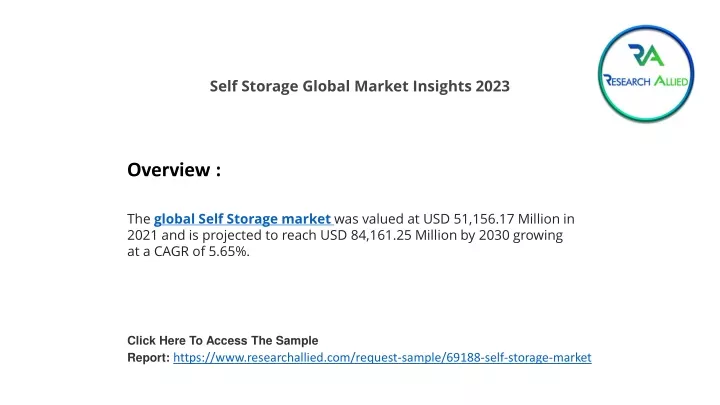 self storage global market insights 2023