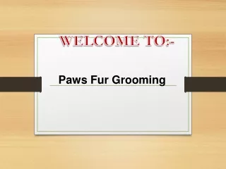 welcome to