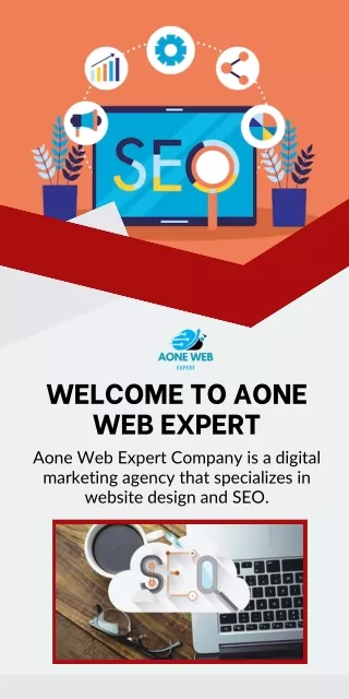 Aone Web Expert-Small Businesses SEO