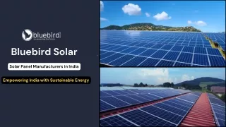 Bluebird Solar - Leading Solar Panel Manufacturer in India, Empowering the Future