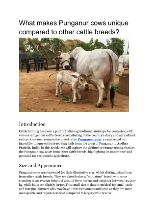 What makes Punganur cows unique compared to other cattle breeds?