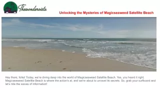 Unlocking the Mysteries of Magicseaweed Satellite Beach