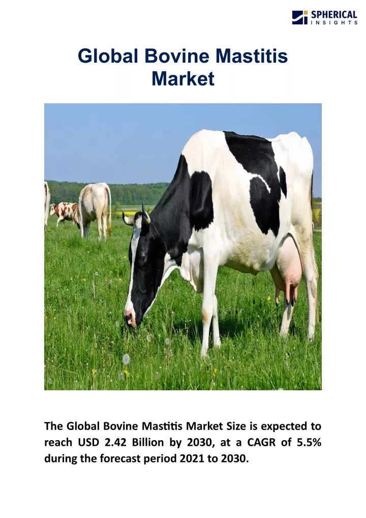global bovine mastitis market