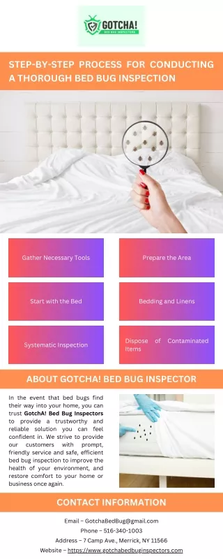 Step-By-Step Process for Conducting a Thorough Bed Bug Inspection