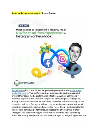 social media marketing report reportgarden