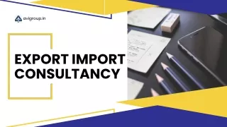 Expert Export-Import Consultancy Services at Avi Group