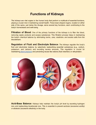 Functions of Kidneys (1)