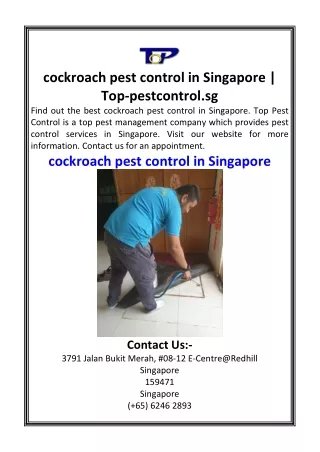 cockroach pest control in Singapore  Top-pestcontrol.sg
