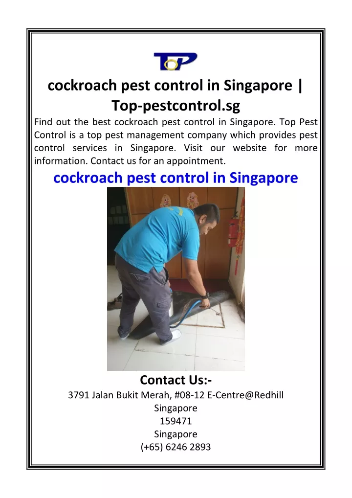 cockroach pest control in singapore