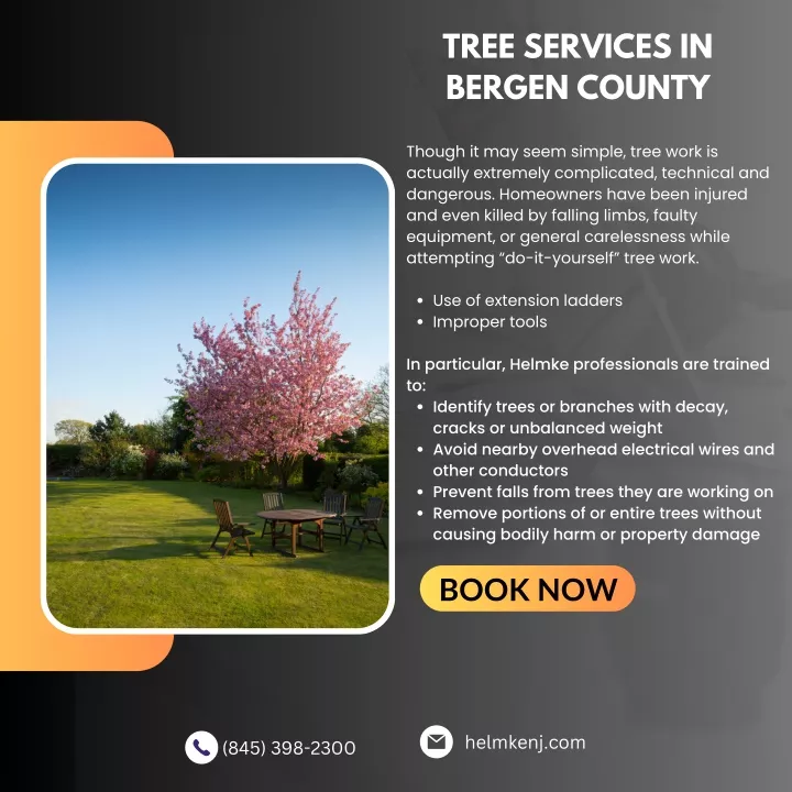 tree services in bergen county