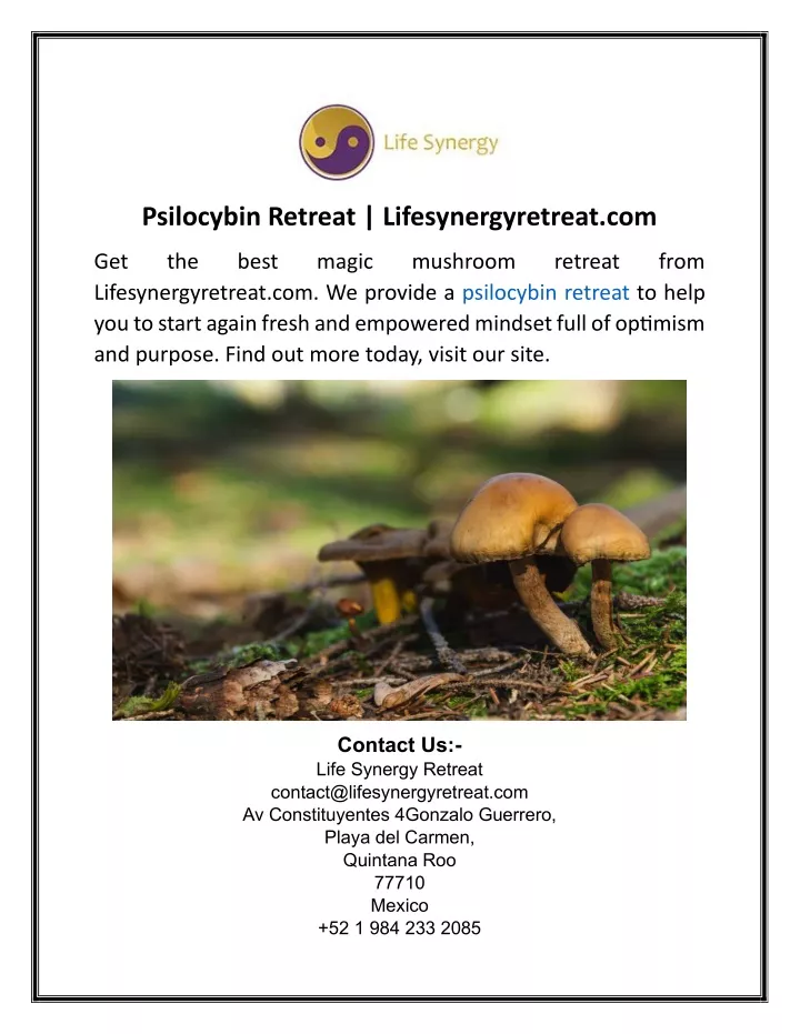 psilocybin retreat lifesynergyretreat com