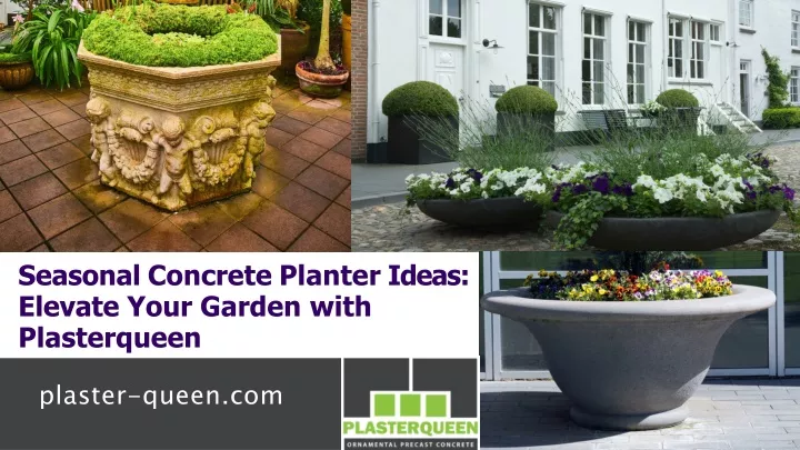 seasonal concrete planter ideas elevate your