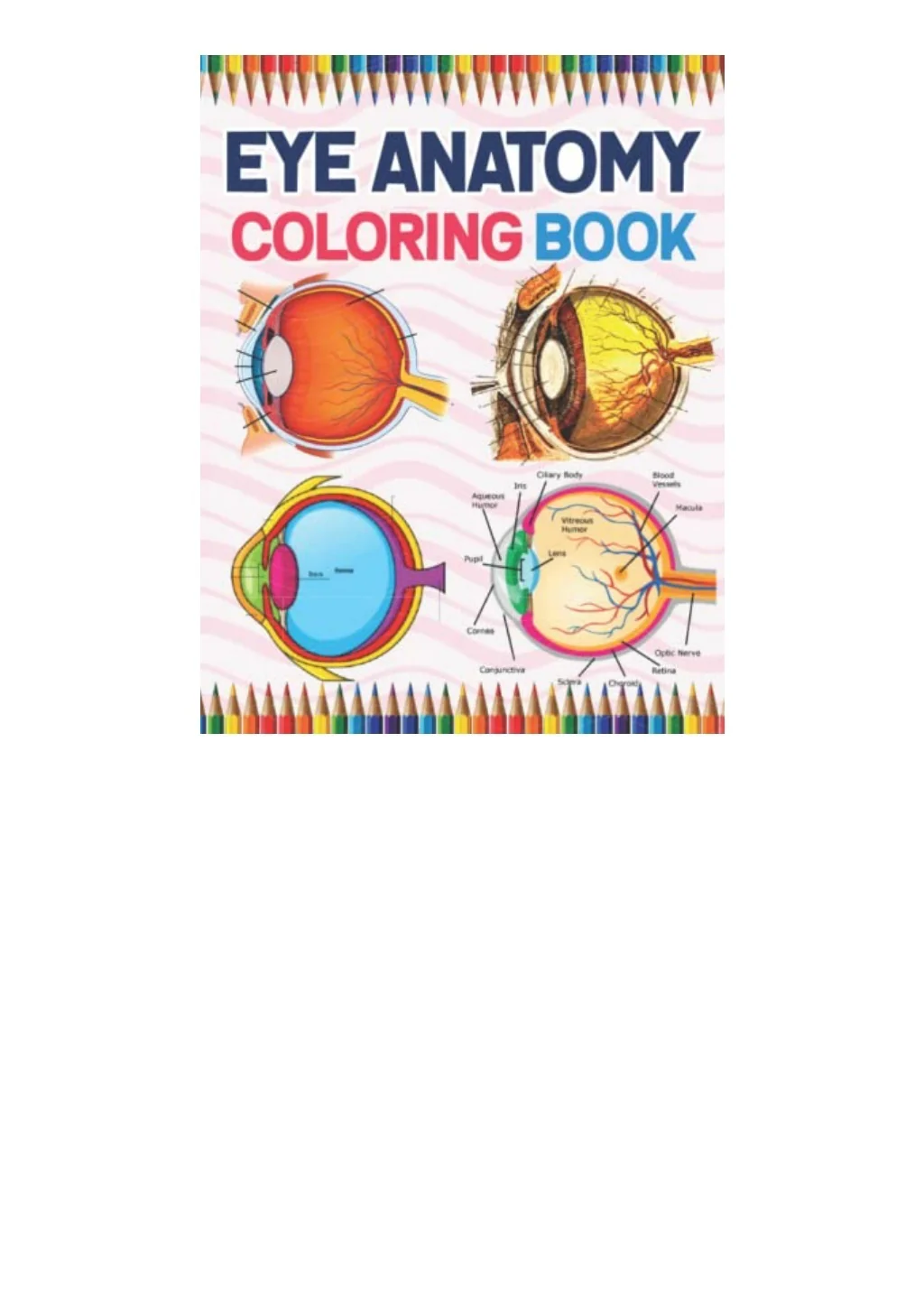 PPT - Download Pdf Eye Anatomy Coloring Book Human Eye Anatomy Students ...