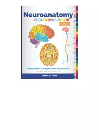 Ebook Download Neuroanatomy Coloring Book Human Brain Coloring Book For Neurosci
