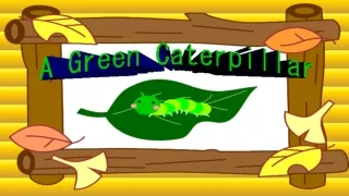 A Green Caterpillar Story