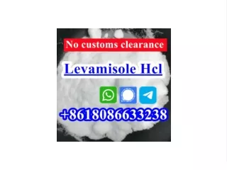 Order levamisole powder China supplier with good price