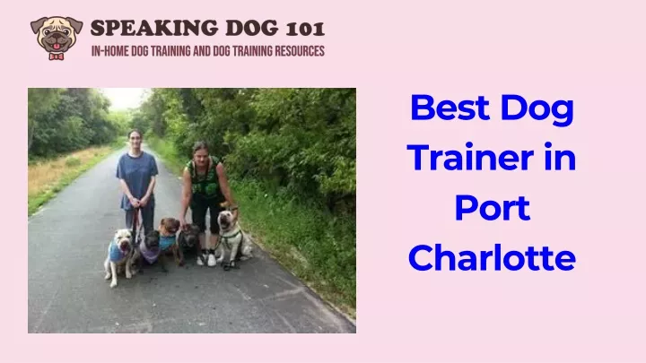 best dog trainer in port charlotte