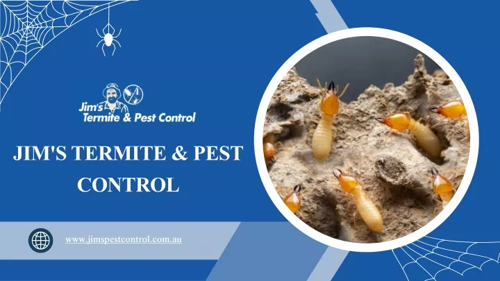 jim s termite pest control