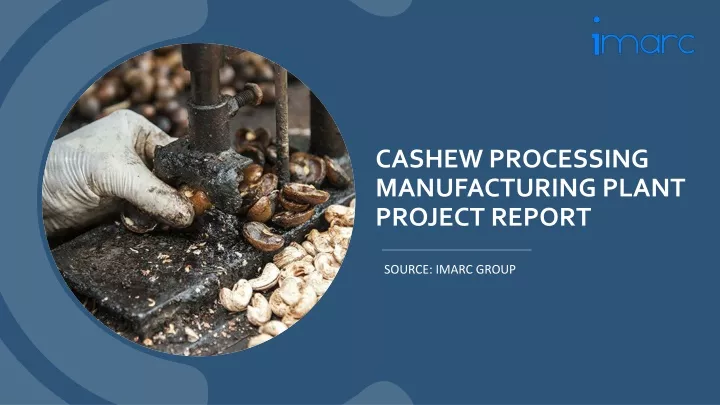cashew processing manufacturing plant project