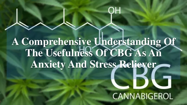 a comprehensive understanding of the usefulness of cbg as an anxiety and stress reliever