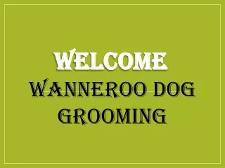 welcome