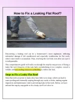 Flat Roof Leak Repair - slide 1