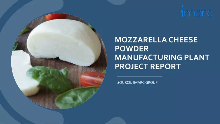 mozzarella cheese powder manufacturing plant